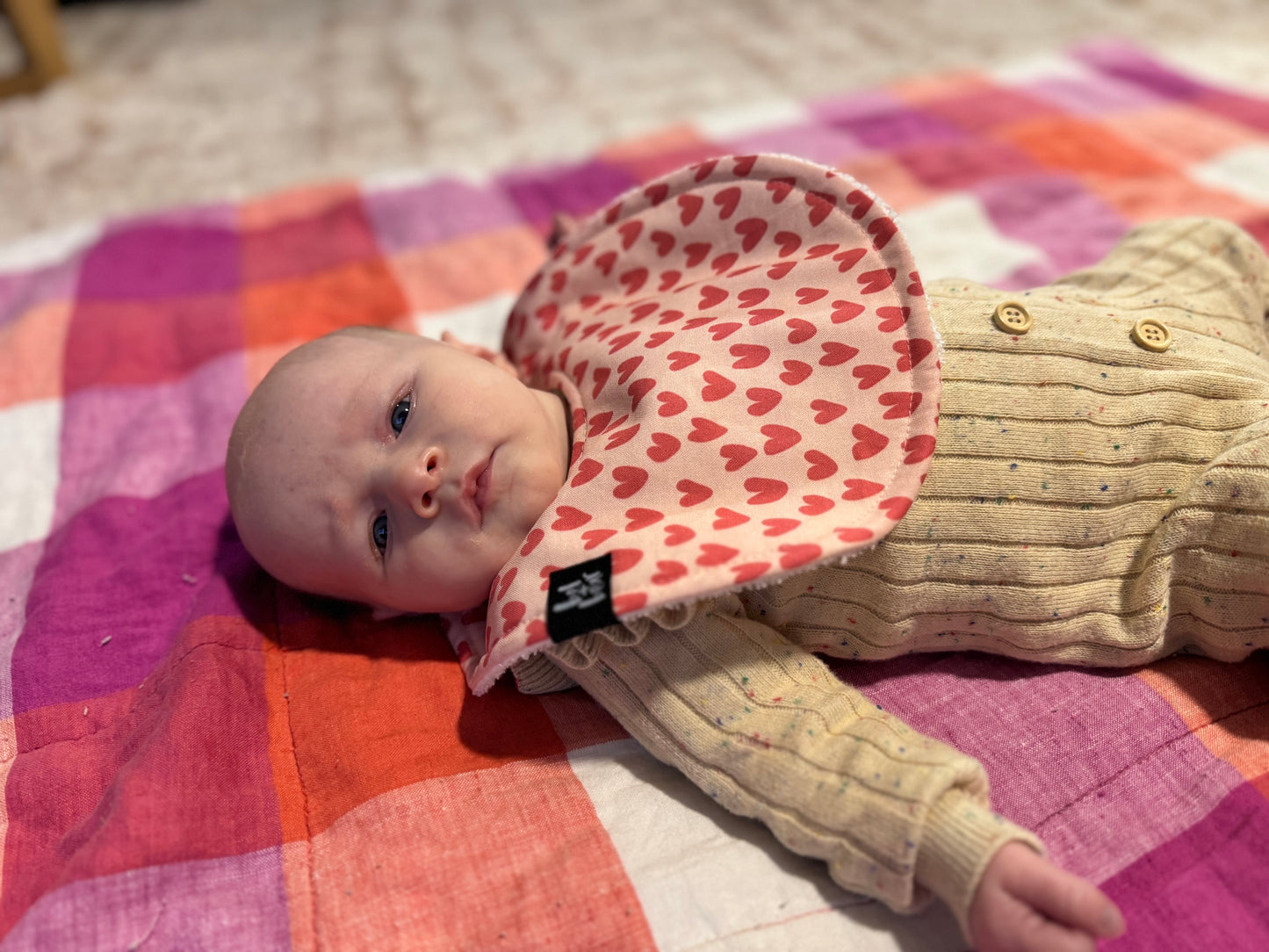 Lover Roundie Bib