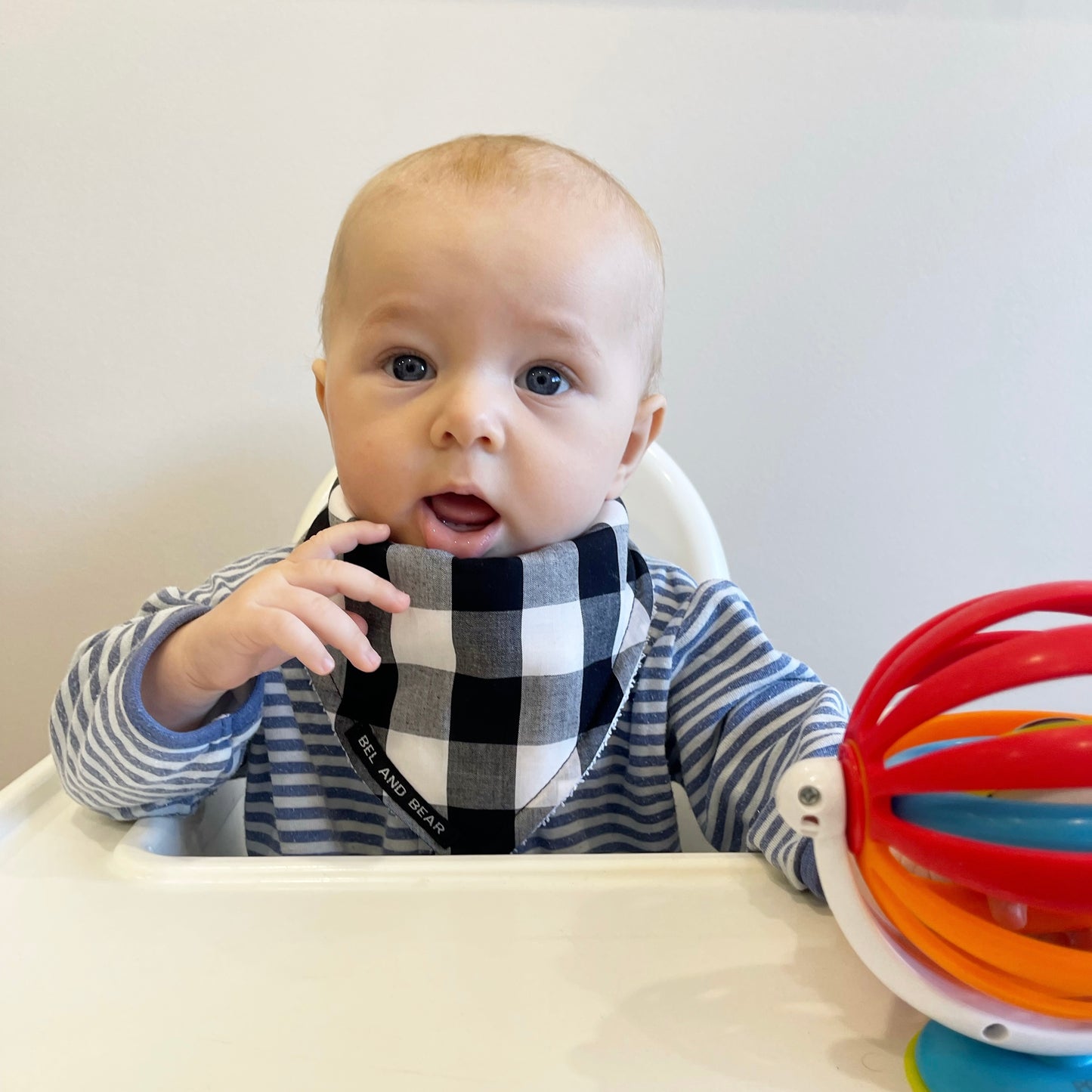Gingham Dreams Dribble Bib