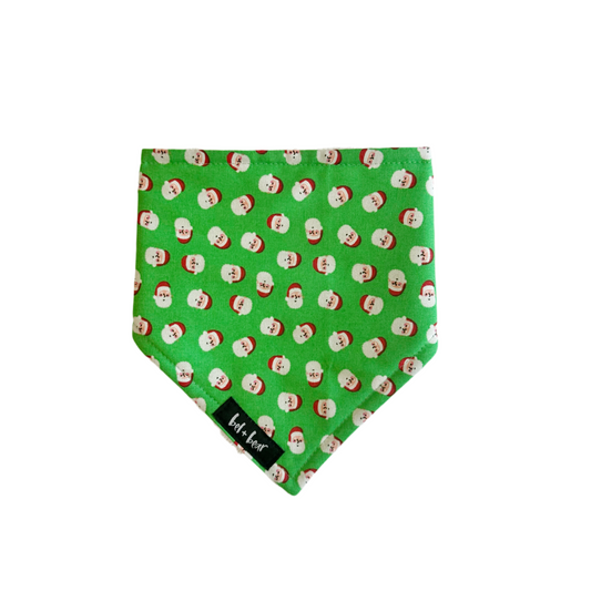 Green Santa Dribble Bib